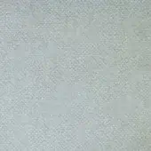 3064402 - CELESTE